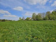 Alleinlage wunderschönes Bauernhaus auf traumhaftem sonnigen Grundstück mit herrlichem Weitblick - Niederrieden