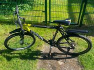 Lakes MTB 26 Zoll - Troisdorf Zentrum