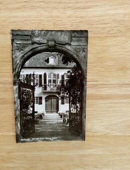 Ansichtskarte-AK-901-Darmstadt-Tor zum Prinz-Georg-Palais. - Nörvenich
