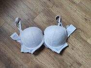95C, leichter Push Up BH, neu! - Lucka