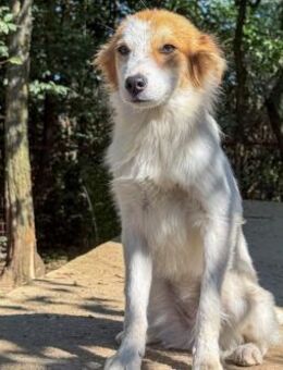 Annemarie wartet auf ihre eigene Familie - Schwabach