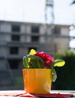 Traumhafte Penthouse-Wohnung in Meckesheim, Neubau! Erstbezug! - Meckesheim