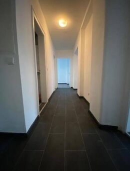 Komplett renovierte, helle 3-Zimmer-Wohnung im Erdgeschoss - Nürnberg