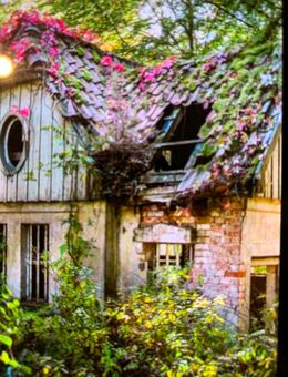 Älteres Haus zur Miete gesucht - Igling