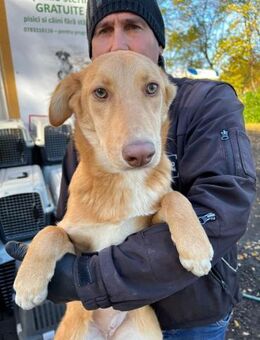 Honey - der Name ist Programm - Schlitz