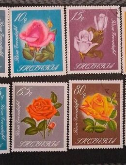 Briefmarken Albanien 1967 Rosen Satz komplett gestempelt - Görlitz