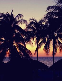 Freundliche und nette Reisebegleiterin für den Urlaub gesucht - Braunschweig