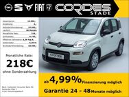 Fiat Panda, 1.0 Pandina Mild Hybrid VZ-Erkennung (90), Jahr 2024 - Stade (Hansestadt)