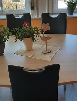 Besprechungstisch mit 6 Freischwingerstühlen - Dassel