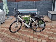 gebrauchtes Herren E-Bike Rose Black Creek Diamant - Dinslaken