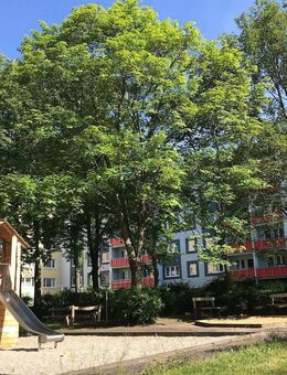 Klick hier: gemütliche 4-Zimmer-Wohnung - Chemnitz