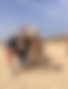 Wid*** - Weiden (Oberpfalz)