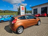 Ford Fiesta Trend - Seitingen-Oberflacht