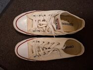 Converse Schuhe Gr. 38 - Steinburg