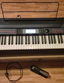 Fame SP-4 Stagepiano - Düsseldorf