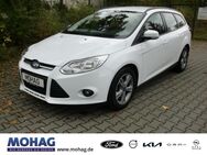 Ford Focus, 1.0 EcoBoost (CB8)(2010 ) Edition Notbremsass Vorb, Jahr 2014 - Gelsenkirchen