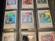 Komplette YuGiOh Sammlung - Erfurt