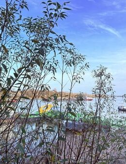 Rodenkirchen - Rhein, Sonne, Lebensfreude! 3-Zimmerwohnung zum Verlieben - Bezugsfrei - Köln