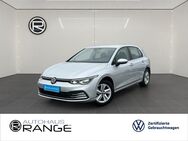 VW Golf, 1.5 VIII eTSI, Jahr 2023 - Fritzlar