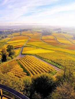 Doppelhaushälfte - Ideal für Ihre Familie! - Leingarten