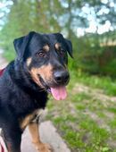 OSKAR - wir werden unsere Zeit genießen in 51491