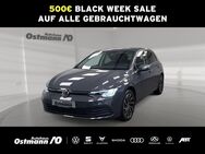 VW Golf, 2.0 TDI VIII Life, Jahr 2020 - Wolfhagen