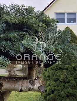 ***Haus mit 3 Wohnungen und großem Garten in bester Lage*** - Parchim