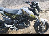 Benelli - Westerstede