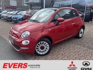 Fiat 500, 1.0 Hybrid Red Cabrio, Jahr 2022 - Bocholt