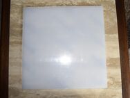 Acrylglas 10 mm „PERSPEX“ 45 x 45 cm weiß satiniert lichtdurchlässig - Ochsenfurt