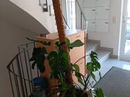 Sehr schöne, zentral gelegene Erdgeschoss-Wohnung - Römerstein