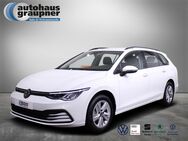 VW Golf Variant, 2.0 TDI Golf VIII Life, Jahr 2024 - Brandis