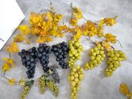 Verkaufe Trauben Dekoration Plastik sehr guten Zustand - Grünstadt Zentrum