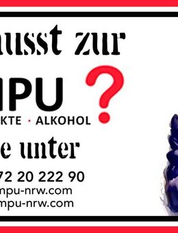 MPU,Vorbereitung,Training,Hilfe,BTM,Alkohol,Punkte,Führerschein zurück! - Essen
