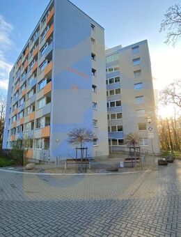 Zwei vermietete Wohnungen in Wolfsburg - Meine Wohnung = Mein Makler! - Wolfsburg