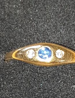 goldener Ring - Waldsolms