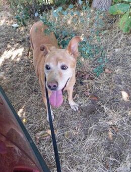 Sunny - unkomplizierter Sonnenschein - Berlin