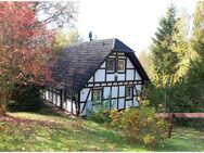 "Die Kleine Ferienvilla Edersee" - Frankenau
