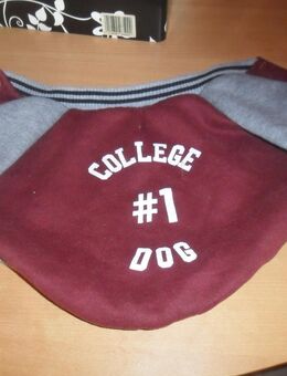 Hundemantel College Dog Gr M - Neunkirchen Zentrum