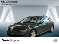 VW Golf, 1.0 TSI VIII Life, Jahr 2020 - Bergisch Gladbach