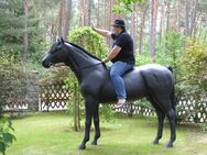 Wir zeigen es auch das dieses 3D Pferde lebensgroß - Modell belastbar ist bis 100kg zum aufsitzen ... - Heidesee