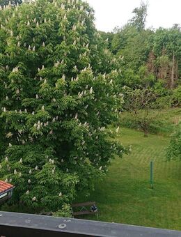 Rinteln-Steinbergen - Gepflegte 2 Zi-Dachgeschosswohnung mit Balkon und EBK - Rinteln