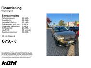 Skoda Kodiaq, 2.0 TDI Selection, Jahr 2024 - Gifhorn