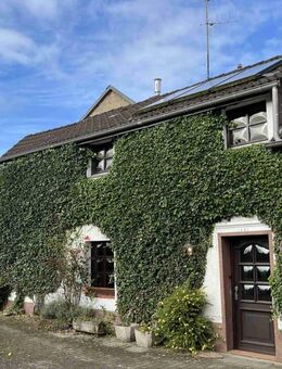 Einfamilienhaus mit Nebengebäuden in Olzheim - Olzheim