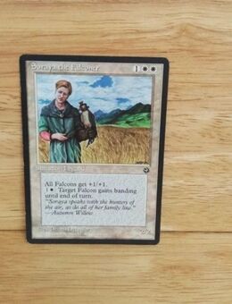 Magic The Gathering-Soraya the Falconer - Nörvenich
