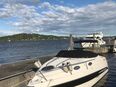 Stingray 250-CS in 41363