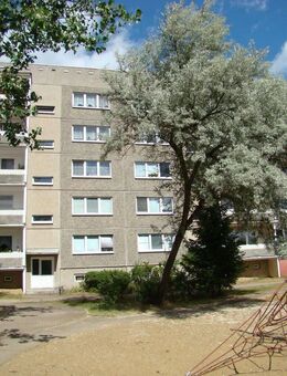 Platz für die ganze Familie! - Neustrelitz