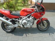 Yamaha TRX 850, die bessere Ducati? - Hainburg