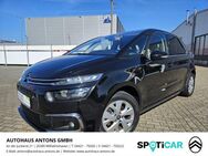 Citroen C4 SpaceTourer PureTech 130 Selection S&S - Wilhelmshaven