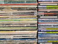 Suche LP's und CD's Samlungen.... - Uster